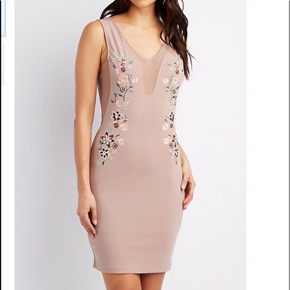 Charlotte Russe Dresses & Skirts - NWT beige with mesh embroidered dress